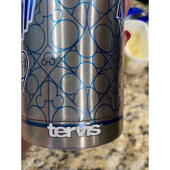 Disney Cruise Line 2019 Tervis stainless steel 20oz tumbler woth lid - Picture 4 of 9